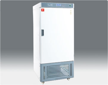 ���̩˹���˹������RGX-250EF